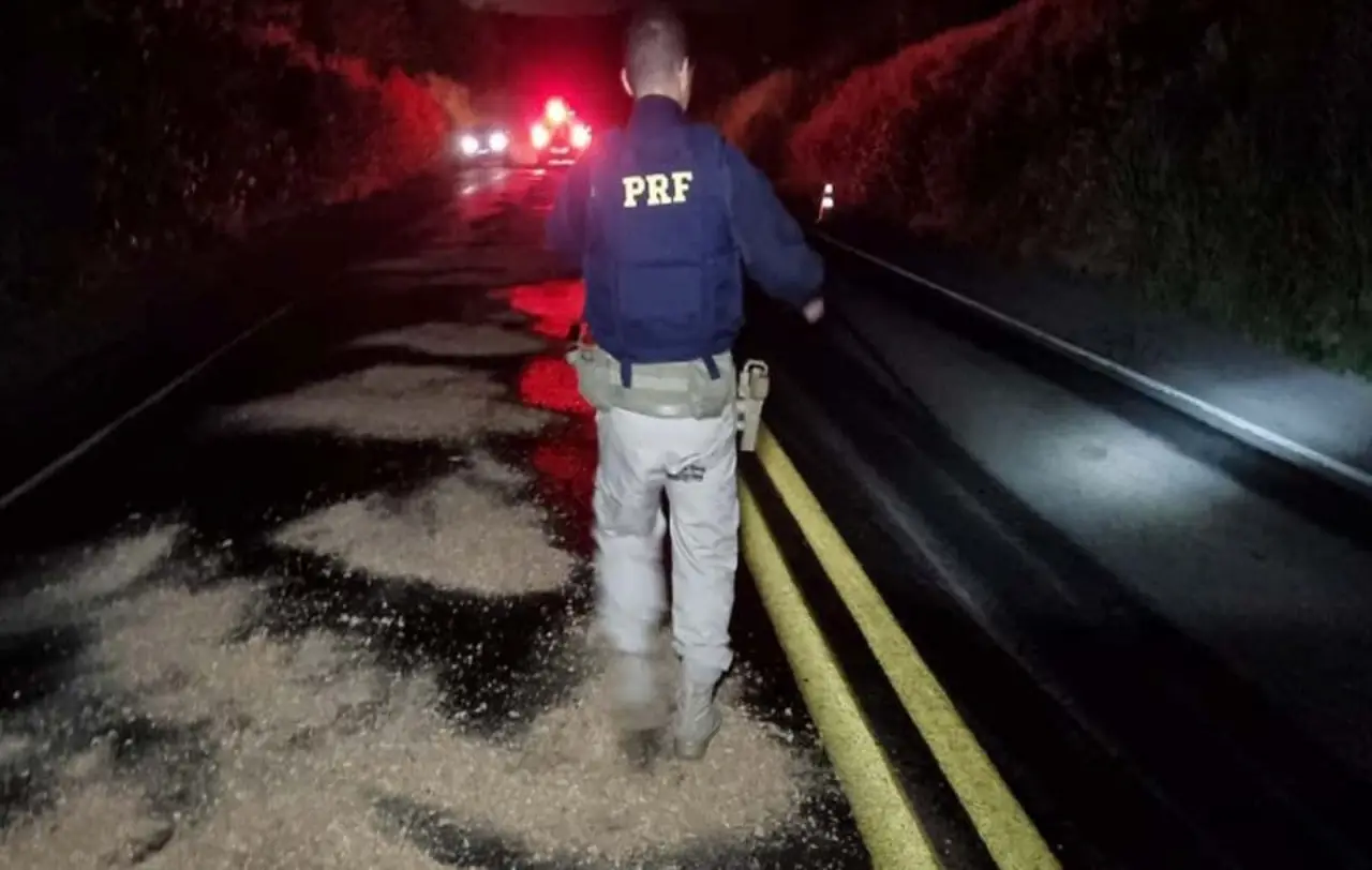 WhatsApp-Image-2022-11-28-at-09.22.16 WhatsApp-Image-2022-11-28-at-09.22.16