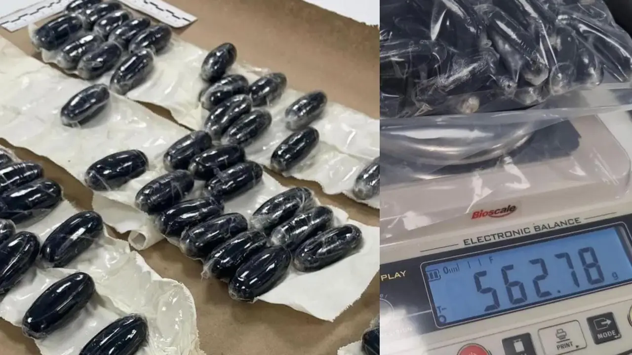 collage-24 collage-24