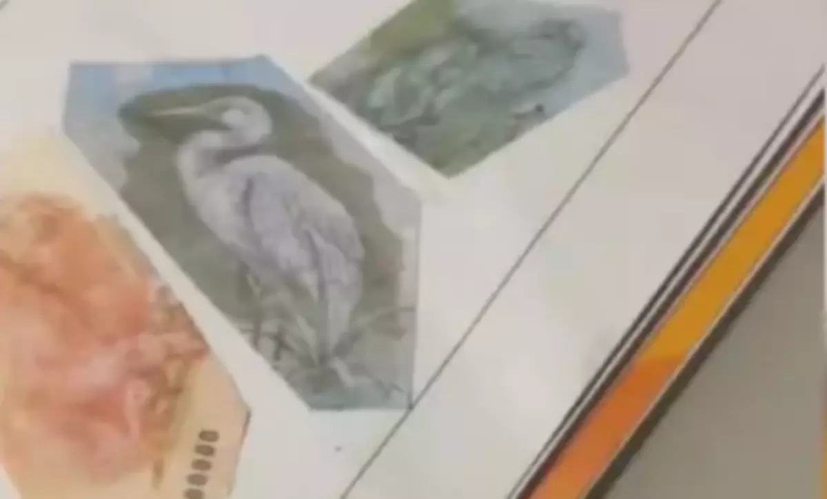 VÍDEO: Criança recorta notas de R$ 100 e R$ 50 para fazer lição de casa (Foto: reprodução/Tiktok)