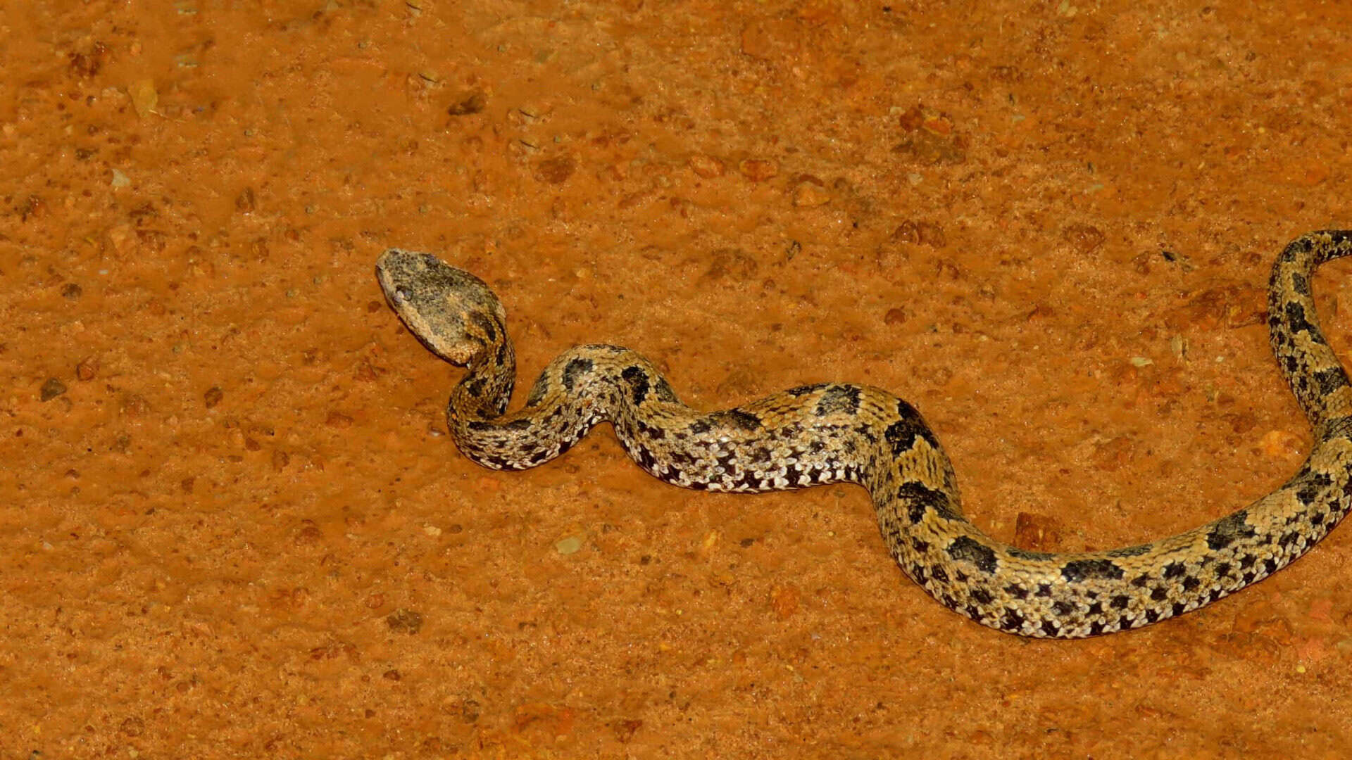 naom_636b8a40bc01c naom_636b8a40bc01c