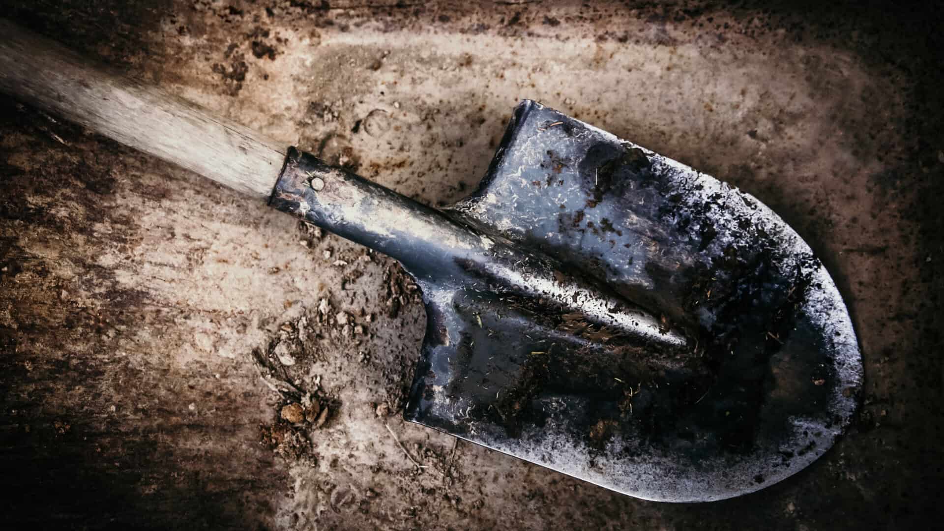 naom_636cc03287a89 naom_636cc03287a89