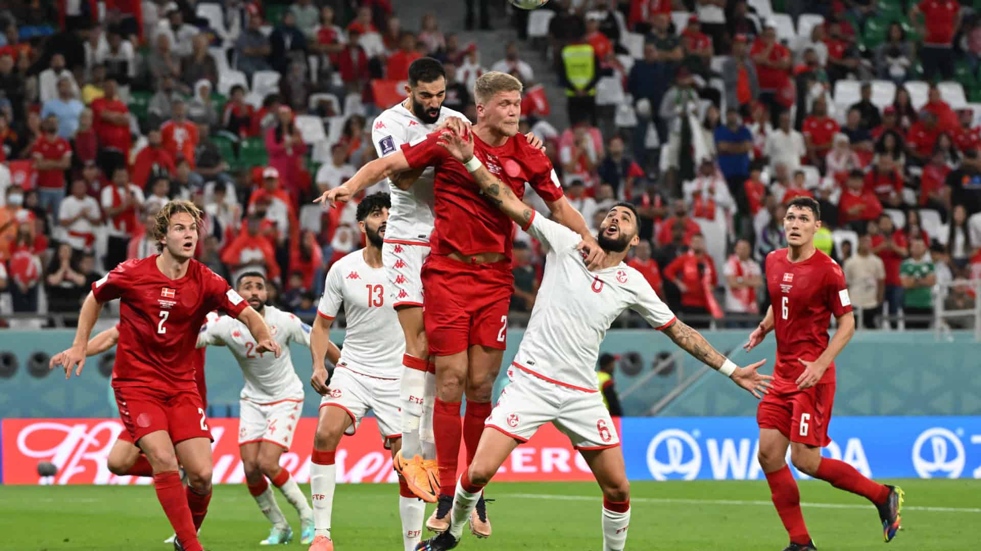 naom_637ceecc06b24 naom_637ceecc06b24