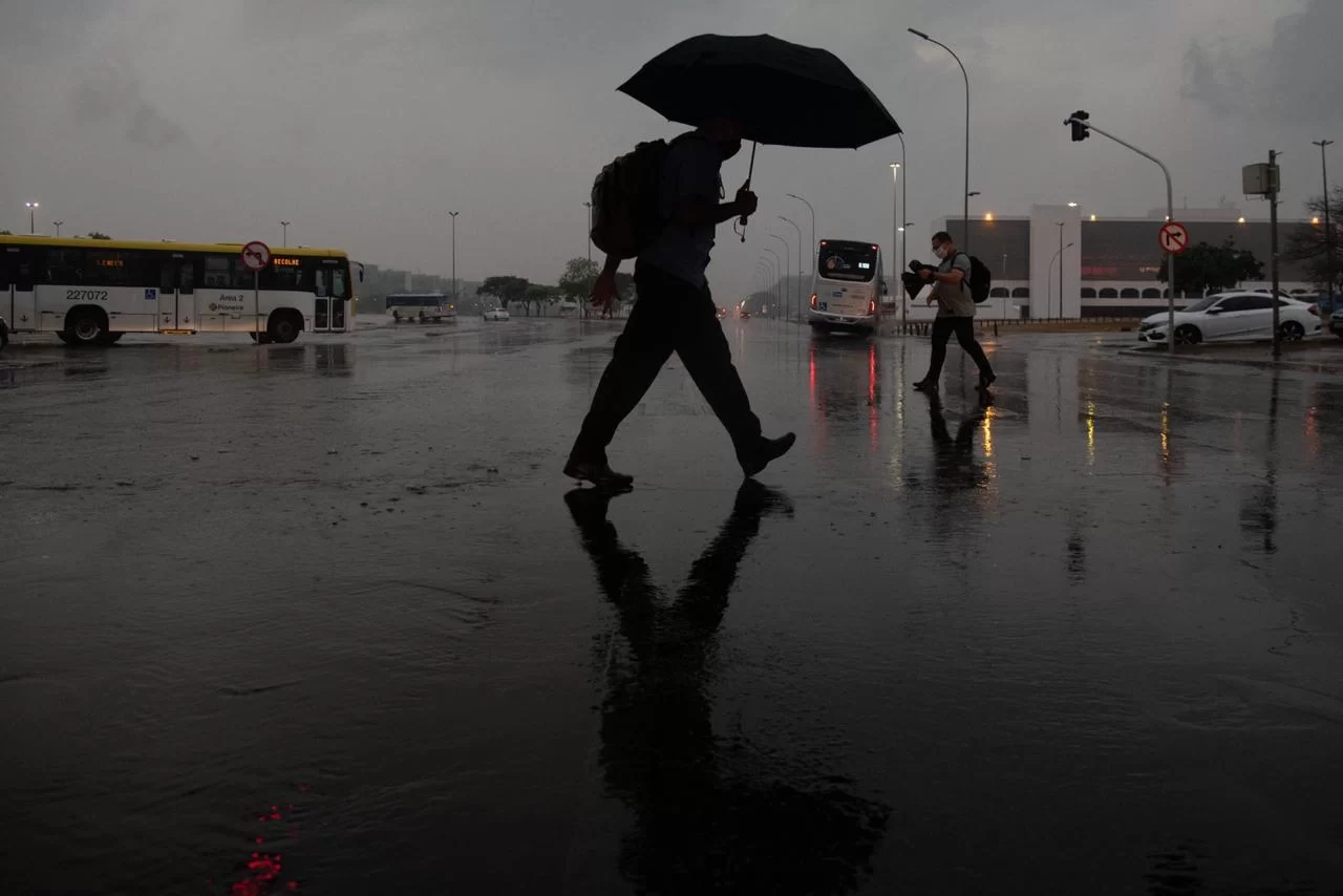 peimeira-chuva-seca-20207 peimeira-chuva-seca-20207