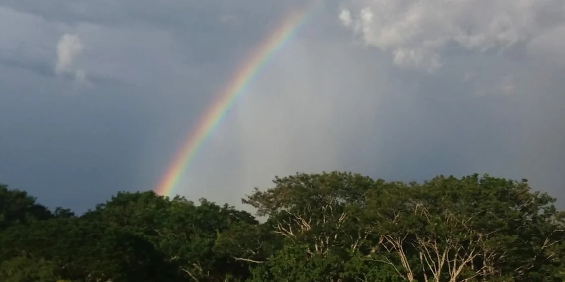 sol6-1140×570.jpg sol6-1140x570.jpg