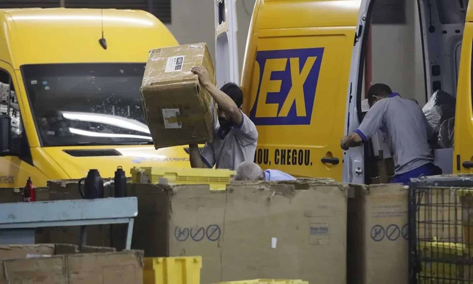 02 Foto: reprodução