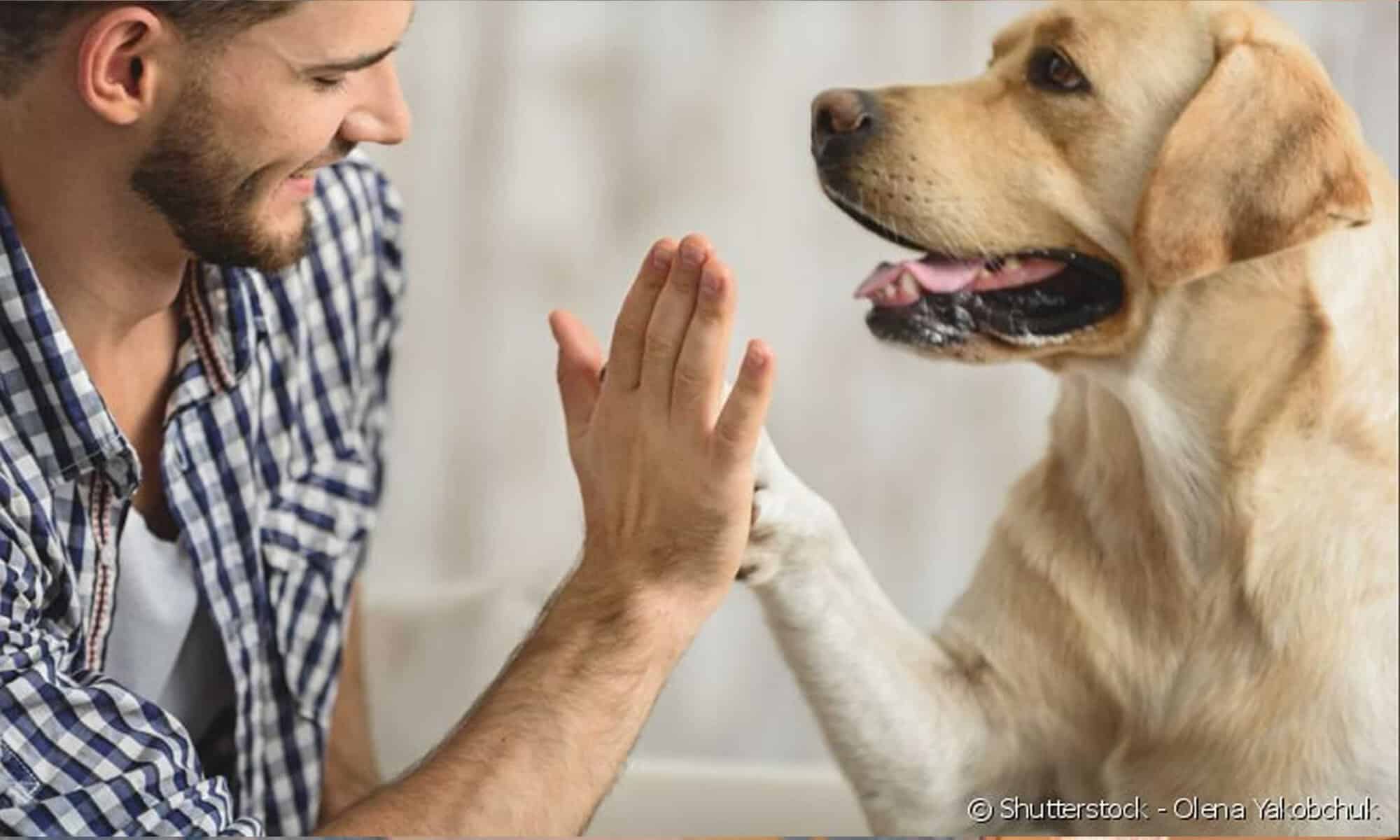 09 Foto: reprodução