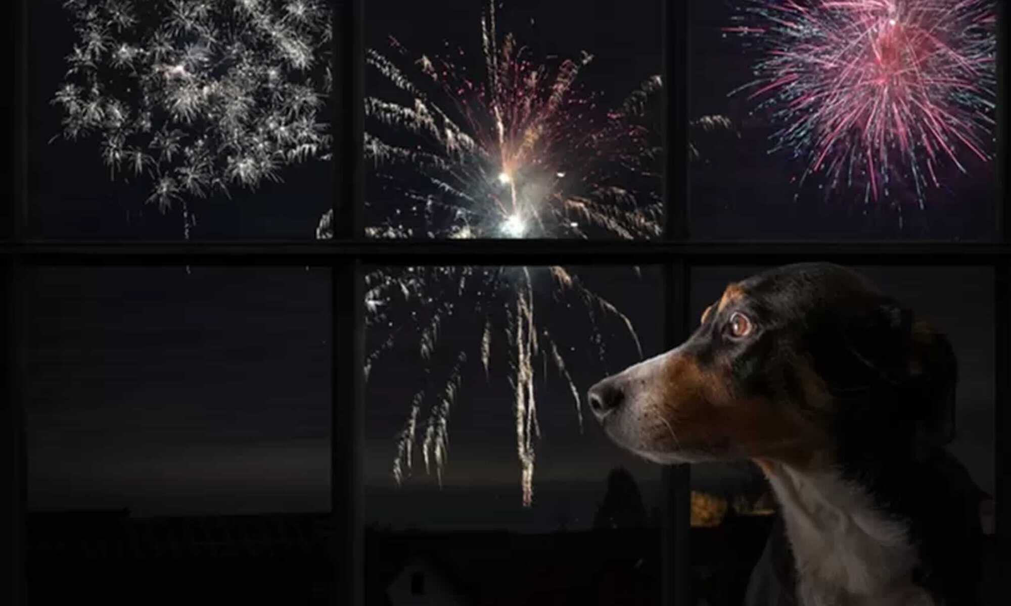 15 Foto: GETTY IMAGES