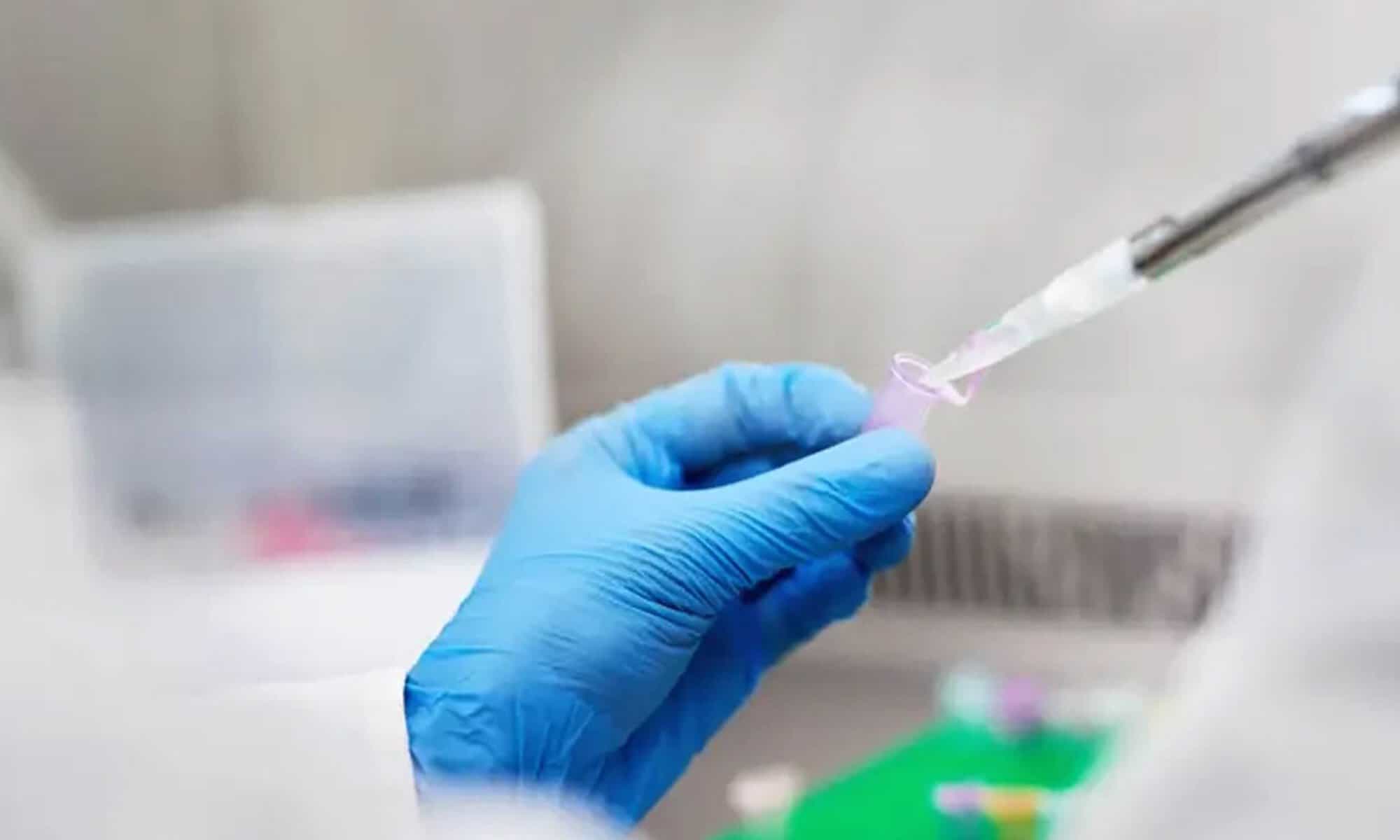 20 Foto: reprodução