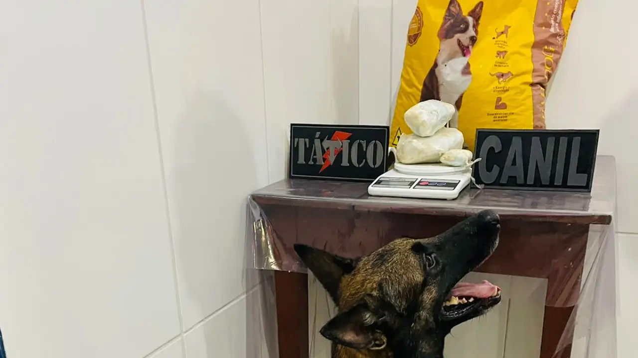 WhatsApp-Image-2022-12-03-at-12.12.47 (1) WhatsApp-Image-2022-12-03-at-12.12.47 (1)