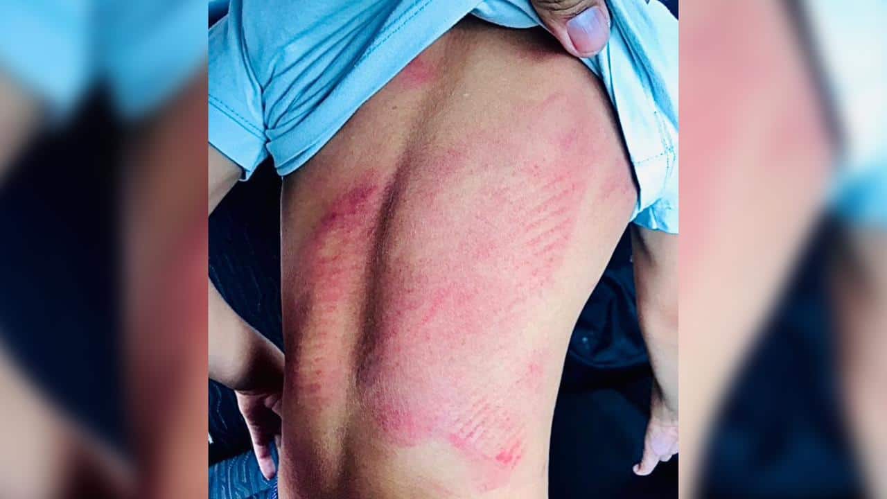 WhatsApp Image 2022-12-12 at 10.54.03 Foto: cedida