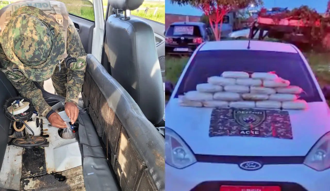 collage-13 collage-13