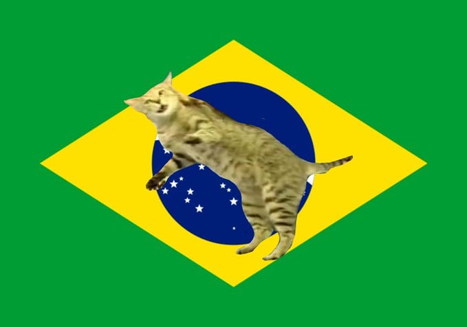 meme-gato-brasil Foto: Reprodução/Twitter