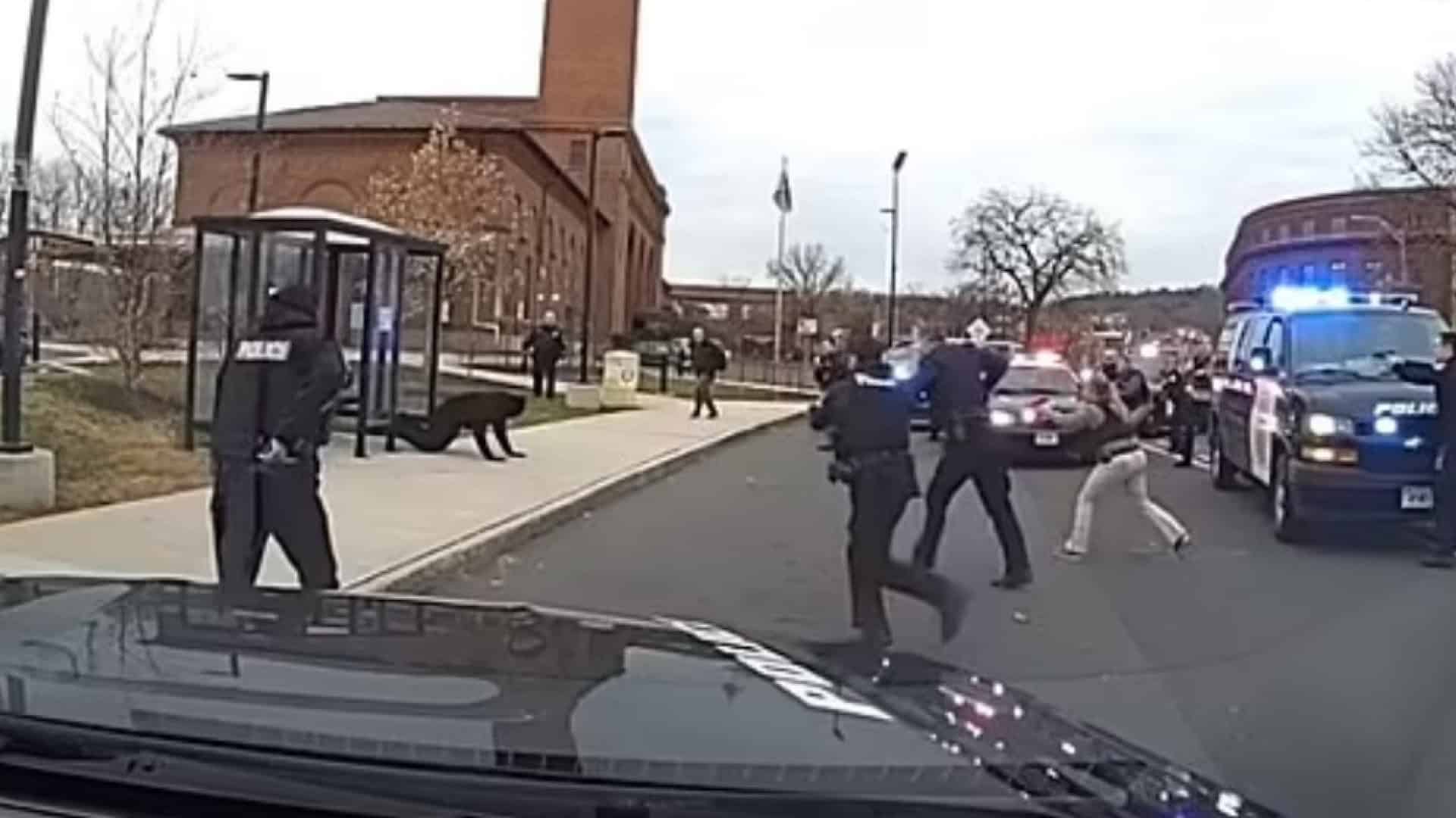 naom_638f05e4a4968 naom_638f05e4a4968