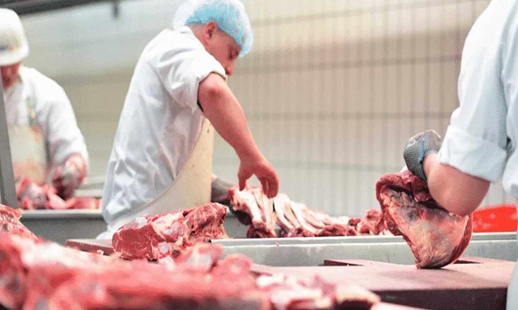 03a Imagem: ilustrativa