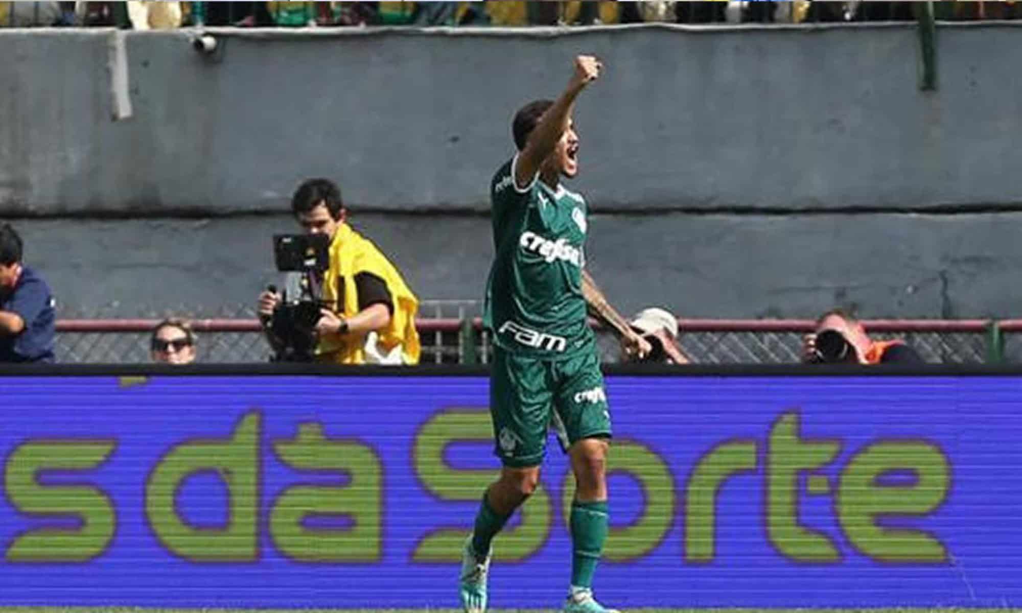 10 Foto: Divulgação/FPF