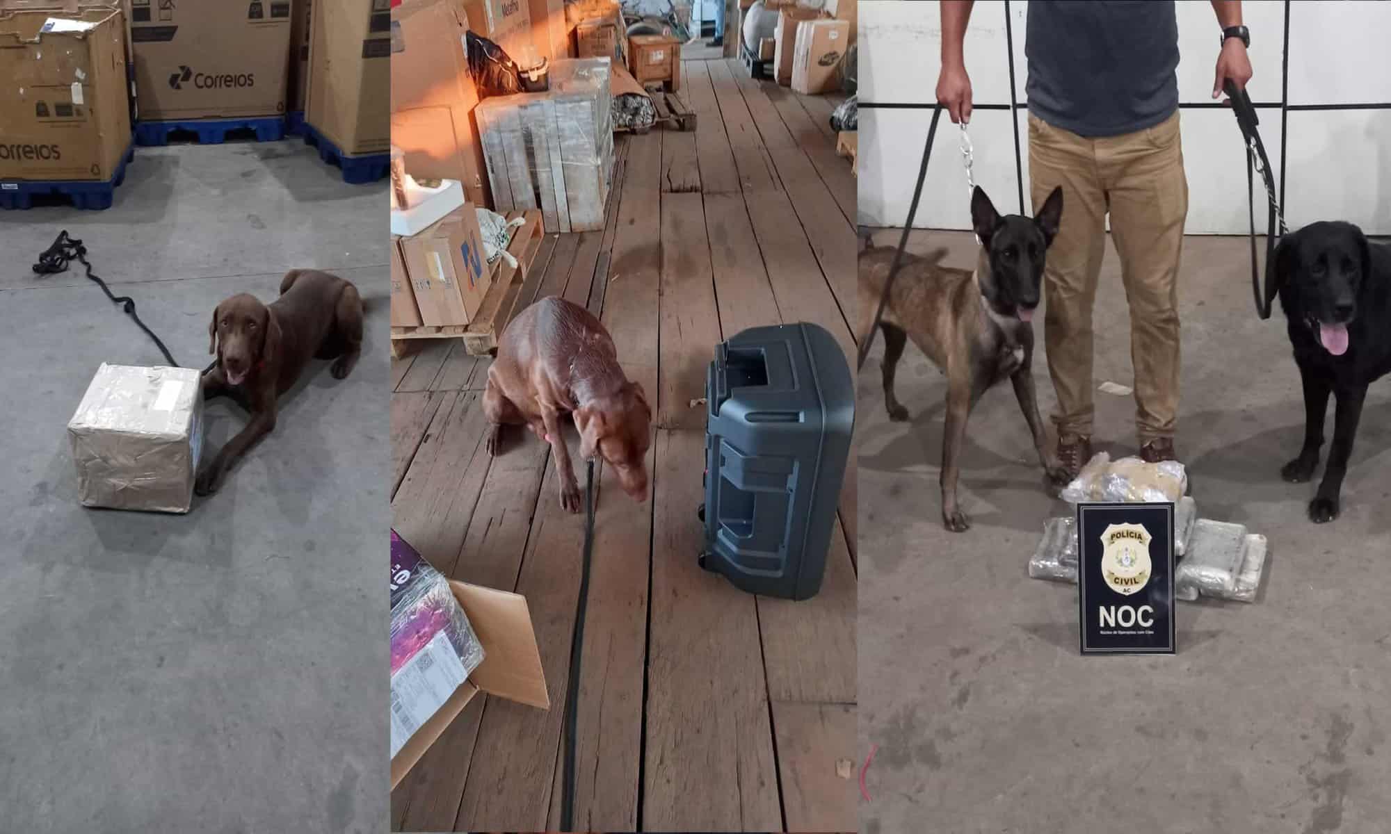 14 Fotos: cedidas/montagem