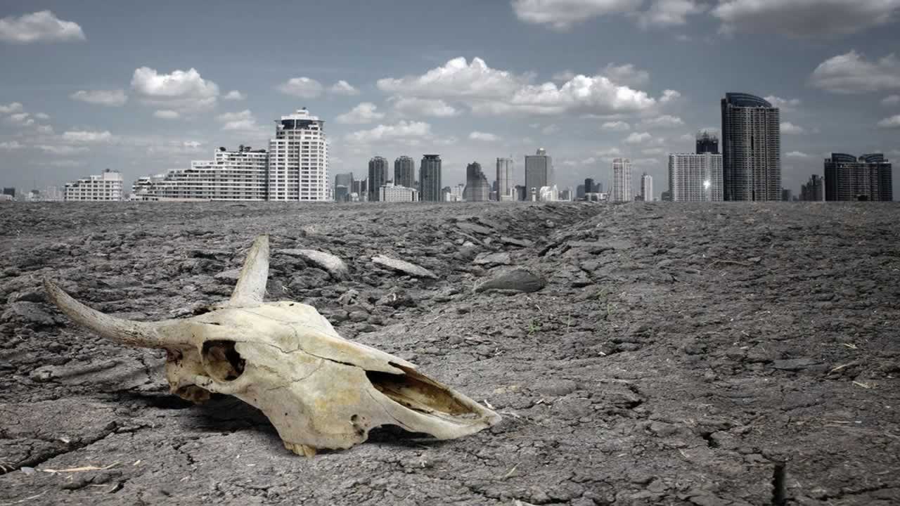 15 Foto: reprodução