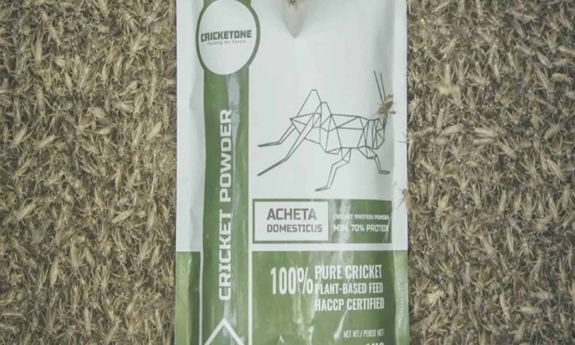 17 Foto: Reprodução/Cricket One