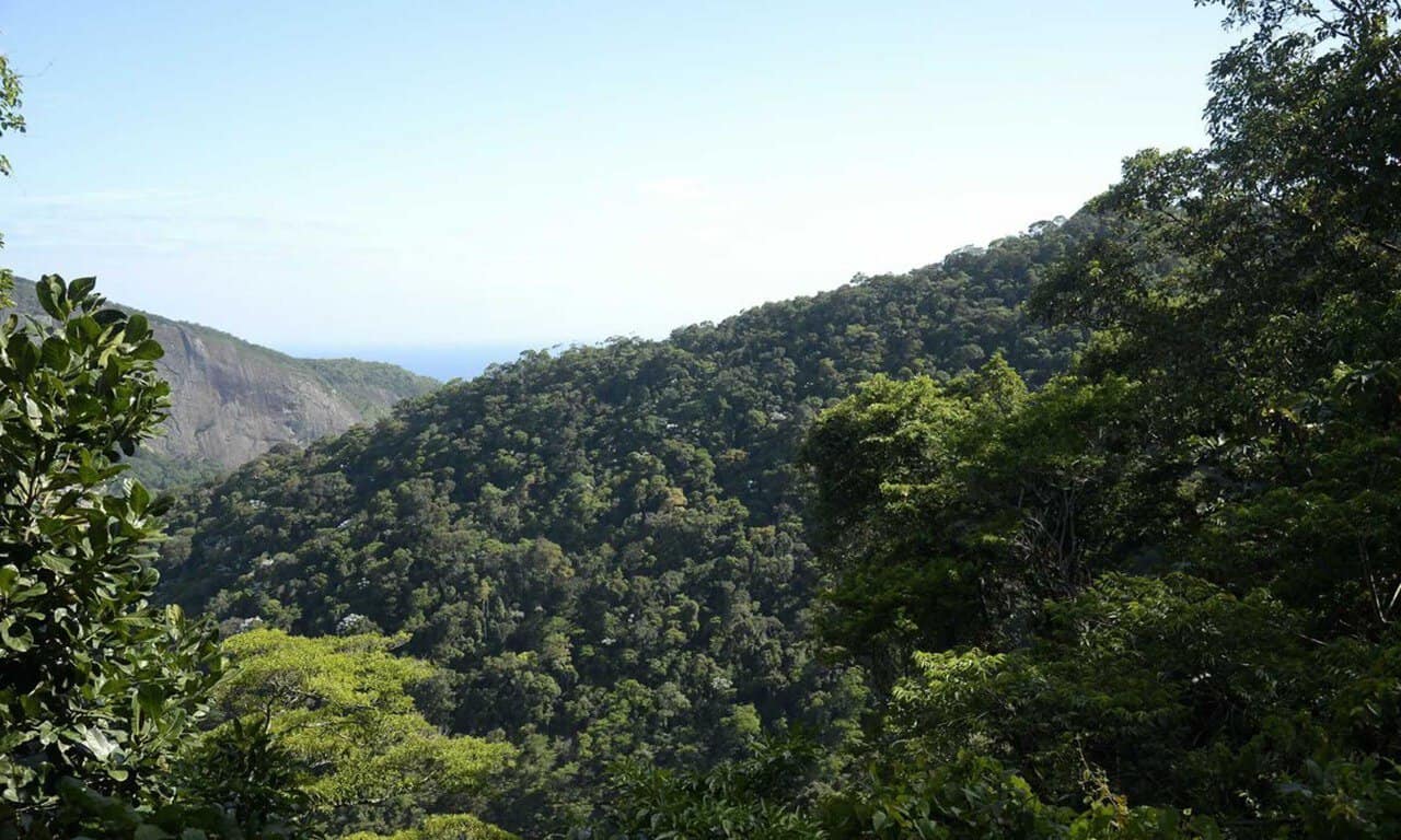 IMG-20230101-WA0066 IMG-20230101-WA0066