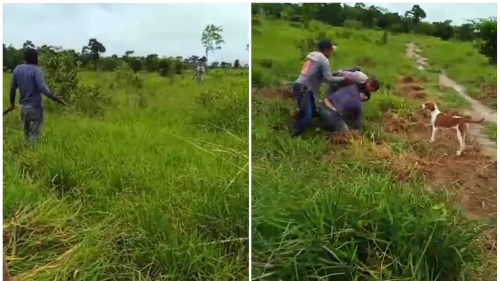 IMG-20230118-WA0035 Foto: Reprodução