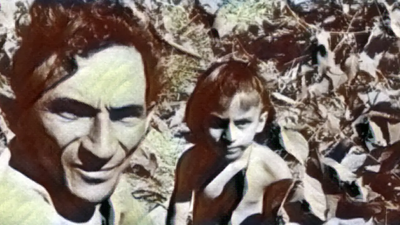 Mestre-Gabriel Mestre-Gabriel