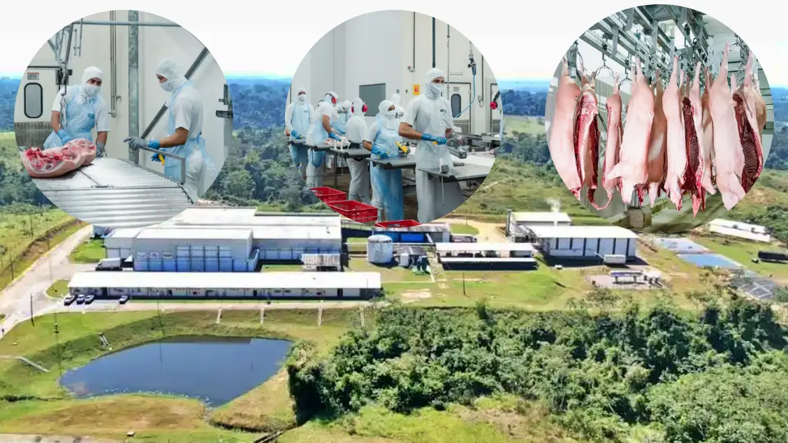 WhatsApp-Image-2023-01-06-at-09.29.21-19 (1) WhatsApp-Image-2023-01-06-at-09.29.21-19 (1)