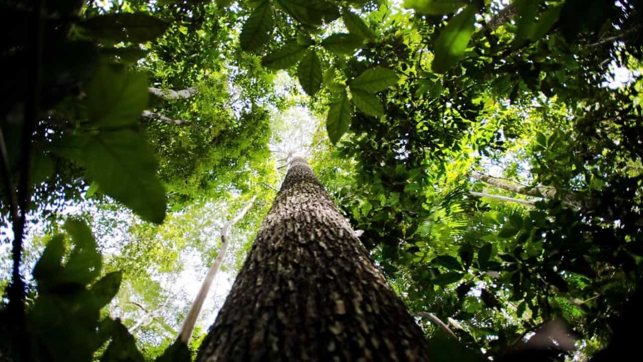 Foto: Marcelo Camargo/Agência Brasil