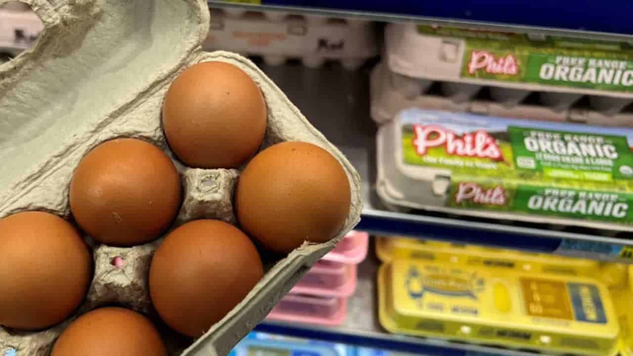 05 Foto: Rose Acre Farms