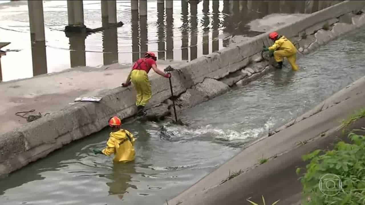 05 Imagem: ilustrativa