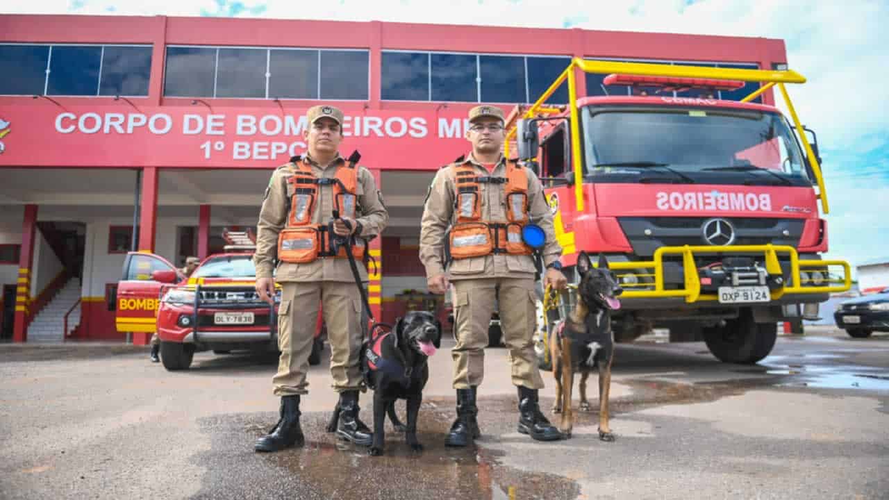 18 O terceiro-sargento Arryson Oliveira e o sargento Juliano Elias Pereira posam junto aos animais. Foto: Diego Gurgel/Secom