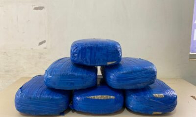 1E537FA4-24D0-41F6-ACCE-8CEC6C54CA9B 1E537FA4-24D0-41F6-ACCE-8CEC6C54CA9B