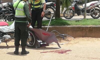 331364866_6032144710180275_5495549726651216212_n Foto: Divulgação