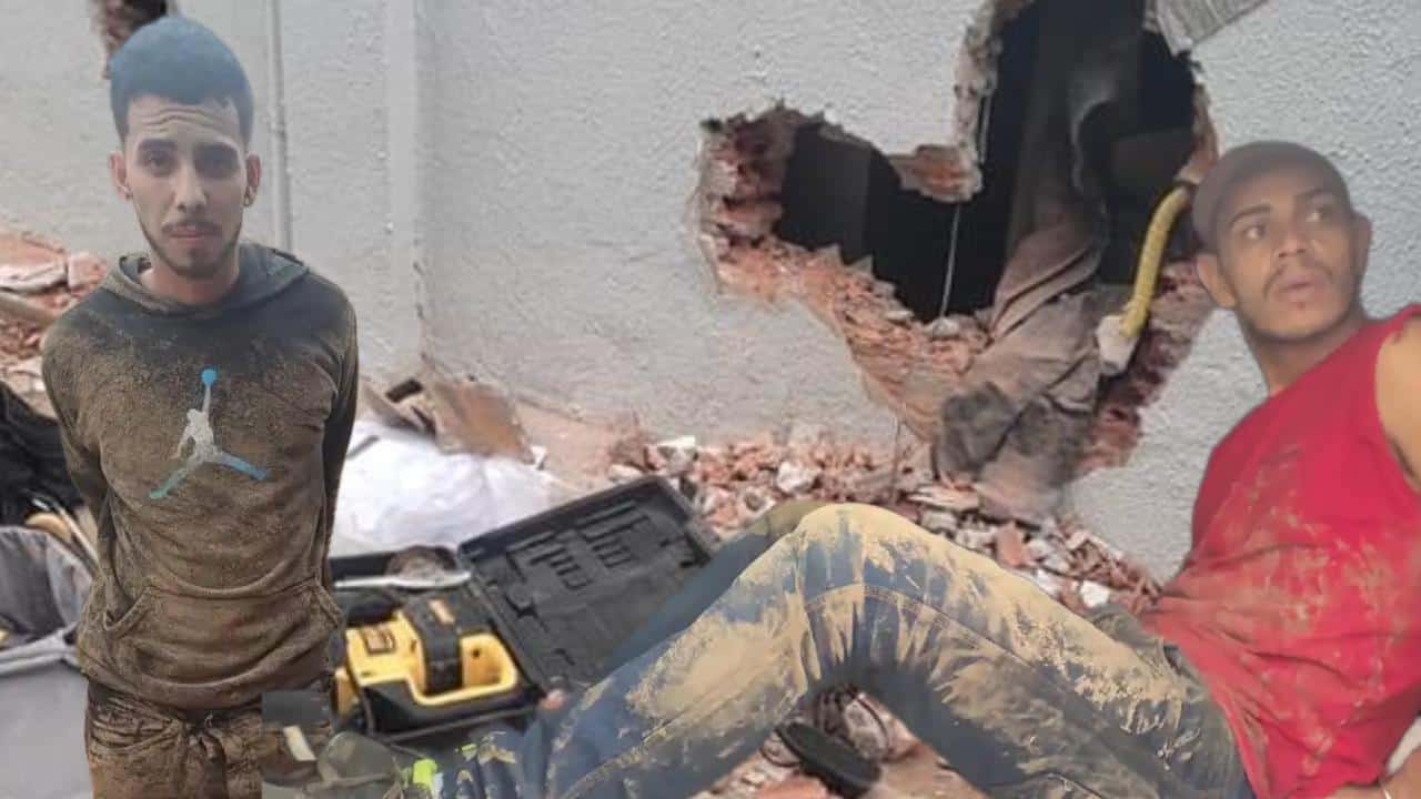 Imagem do WhatsApp de 2023-02-05 à(s) 18.16.15