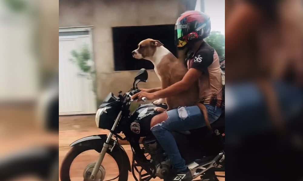 foto reprodução site a gazeta do acre