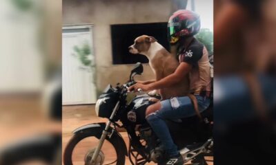 foto reprodução site a gazeta do acre