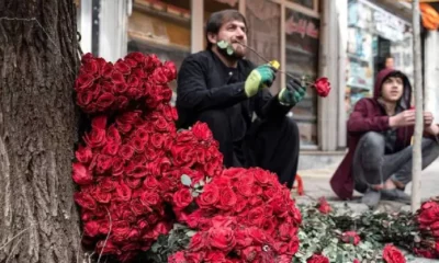 New-Project-2023-02-15T122238.098