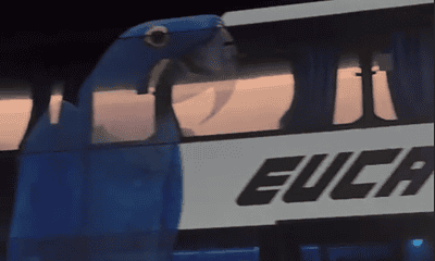 ONIBUS2402 Foto: Reprodução