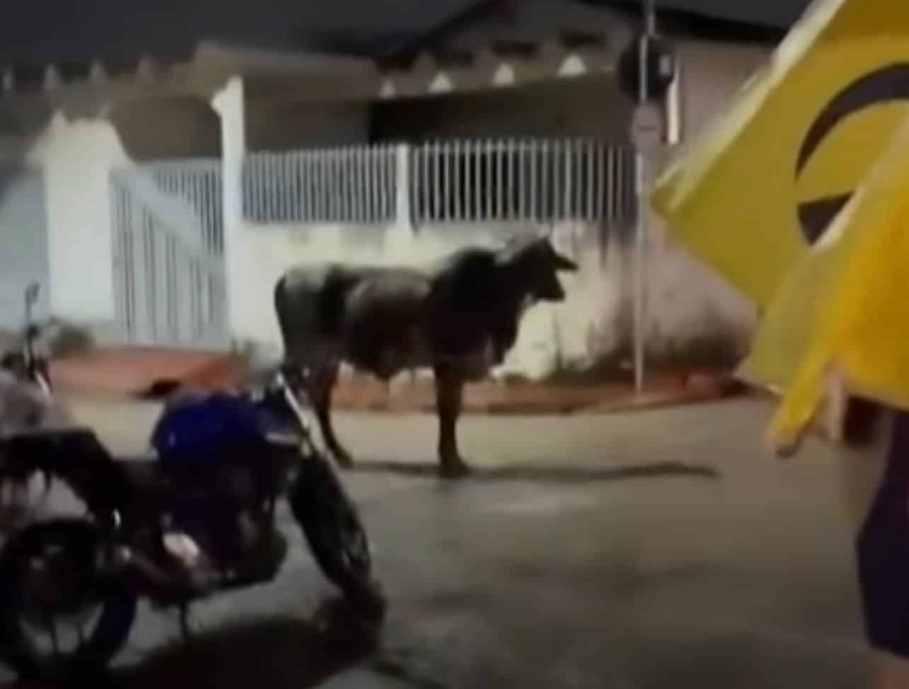 WhatsApp-Image-2023-02-06-at-17.34.59