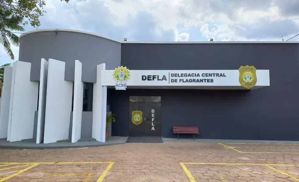 Após assalto e derrubar criança de carrinho, mulher foi presa e levada para a Defla na madrugada desta segunda (20) — Foto: Asscom/Polícia Civil