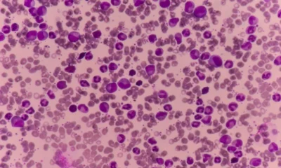 2019-04-05 2019-04-05