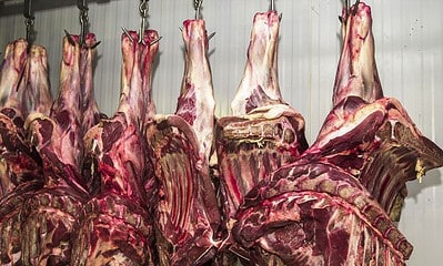 Carne fresca,Açougues, Frigoríficos, alimento Carne fresca,Açougues, Frigoríficos, alimento