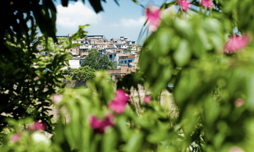 Captura de Tela 2023-03-02 às 10.43.58 Captura de Tela 2023-03-02 às 10.43.58