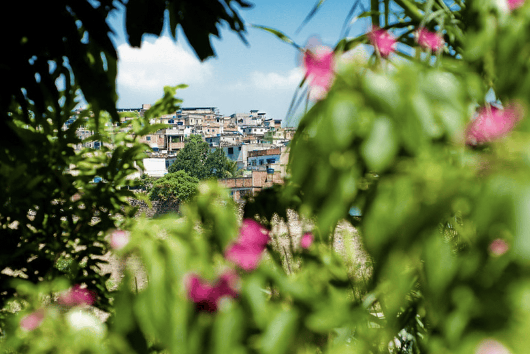 Como Comunidades e Ecossistemas ideais ajudam na toma de decisões?