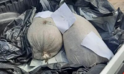 WhatsApp Image 2023-03-09 at 13.18.37 WhatsApp Image 2023-03-09 at 13.18.37