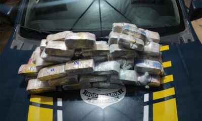 WhatsApp Image 2023-03-15 at 20.40.52 WhatsApp Image 2023-03-15 at 20.40.52