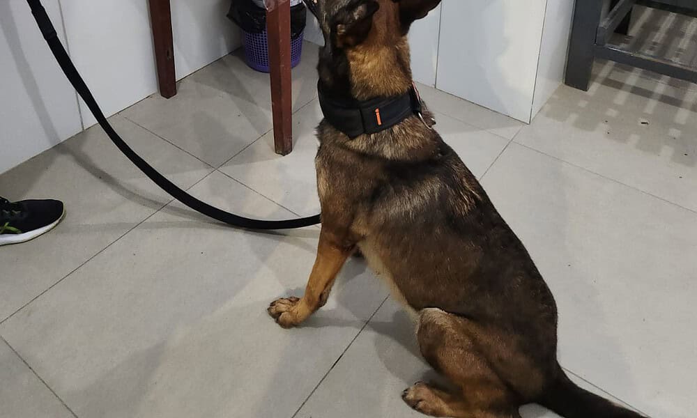 WhatsApp Image 2023-03-16 at 11.49.39 WhatsApp Image 2023-03-16 at 11.49.39