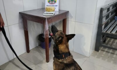 WhatsApp Image 2023-03-16 at 11.49.39 WhatsApp Image 2023-03-16 at 11.49.39