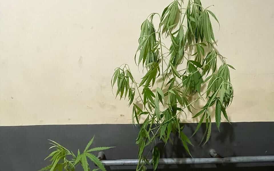 WhatsApp Image 2023-03-18 at 13.30.34 WhatsApp Image 2023-03-18 at 13.30.34