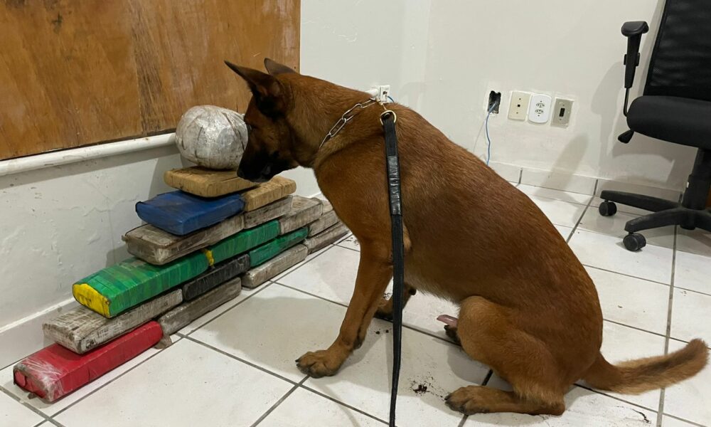 WhatsApp Image 2023-03-18 at 13.41.46 (1) WhatsApp Image 2023-03-18 at 13.41.46 (1)