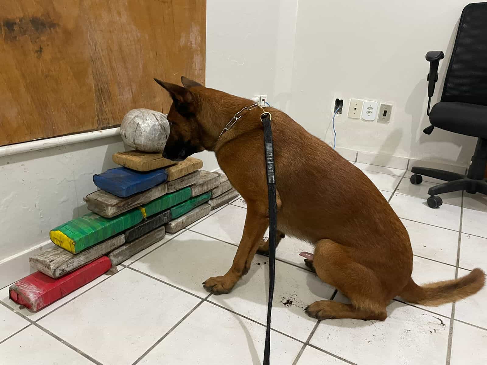 PM apreende drogas, arma e libera família feita refém no Acre